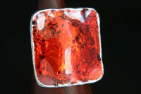 Fashion Rings